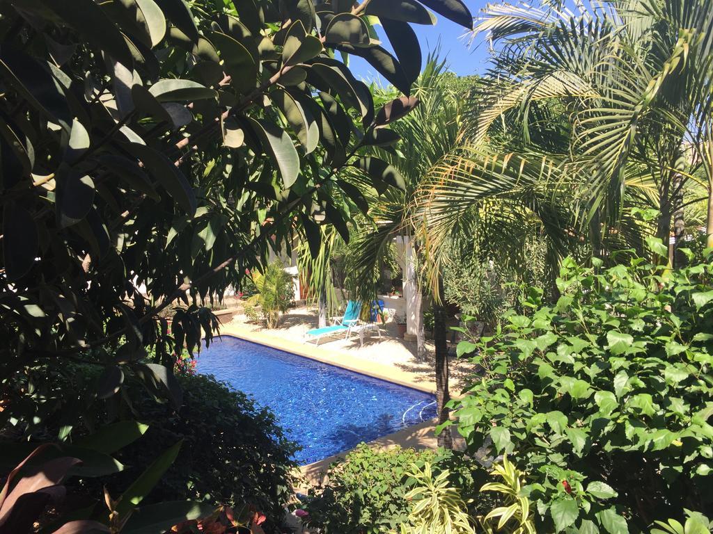 Hotel Flores (Adults Only) Tamarindo Zewnętrze zdjęcie