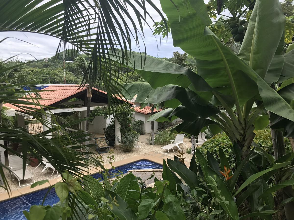 Hotel Flores (Adults Only) Tamarindo Zewnętrze zdjęcie