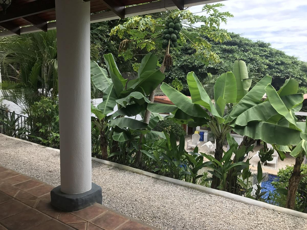 Hotel Flores (Adults Only) Tamarindo Zewnętrze zdjęcie